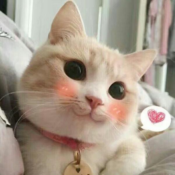 手动比心