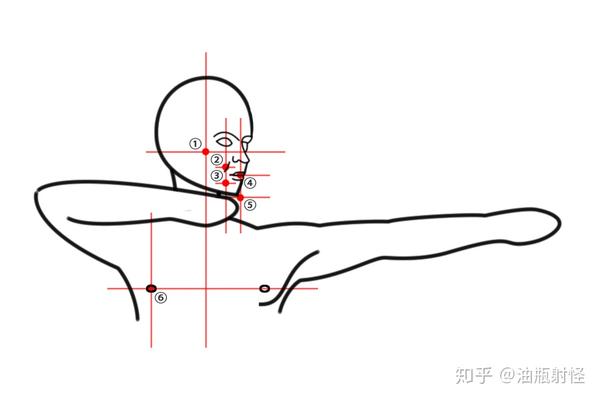 下颌骨;4.唇部;5.下巴(颏隆突)胸部:6.乳头