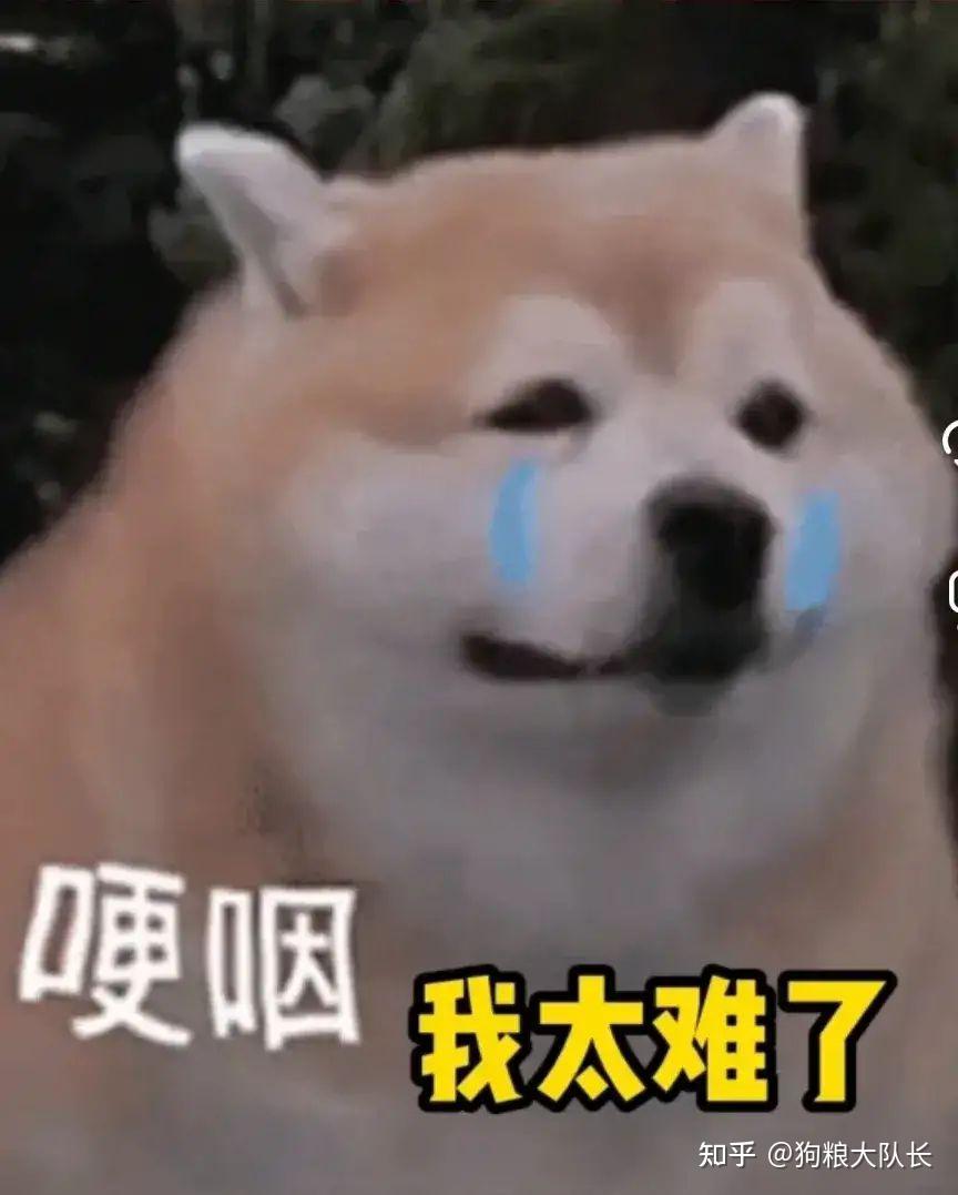 男子借遛狗约妹结果妹子约到以后狗子这也太惨了