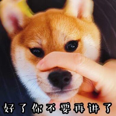 狗吃屎的原因以及解决办法