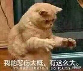 有哪些哄女朋友的可爱的表情包?