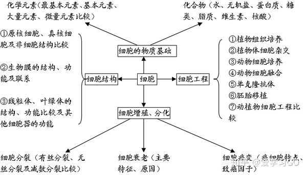 高中生物知识结构图全汇总