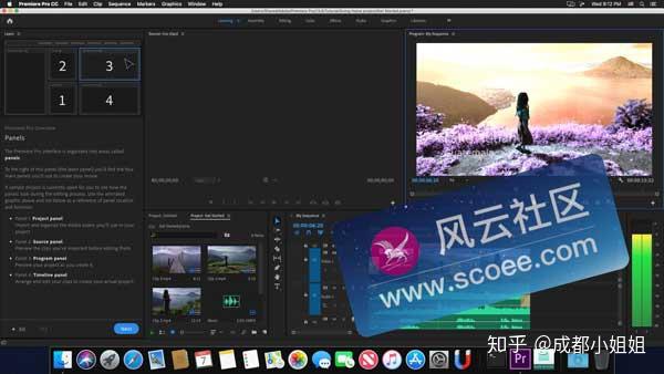 adobepremierepropr20203formac中文共享版