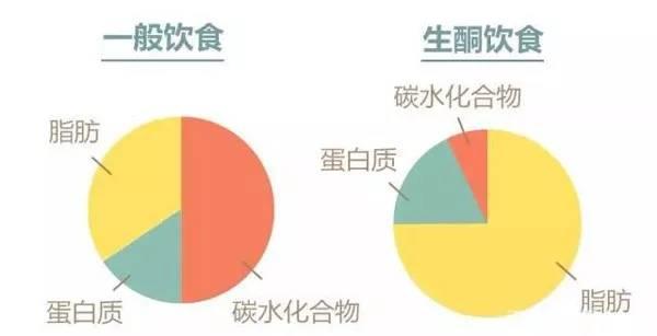 生酮饮食快速减脂是否真的可行