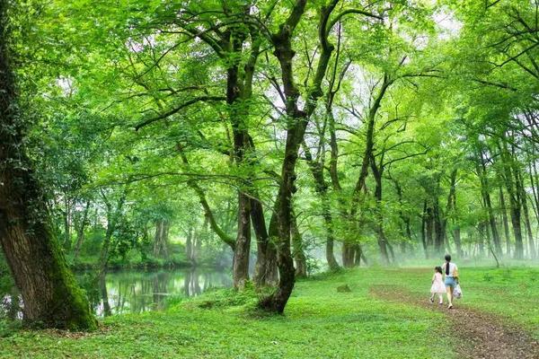 绿野仙踪里的徽州古宅温泉私汤听雪落的声音丨诗莉莉慰颜府