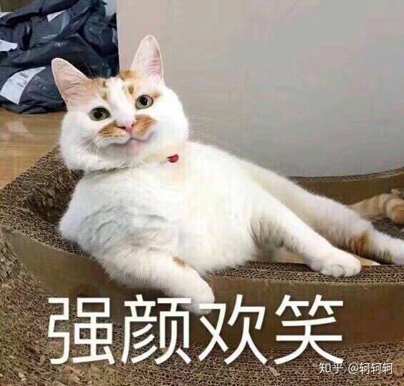 你有哪些关于猫狗的表情包?