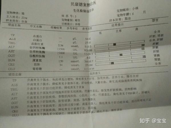 猫咪得了肝腹水不排除传腹的可能有没有治愈的希望