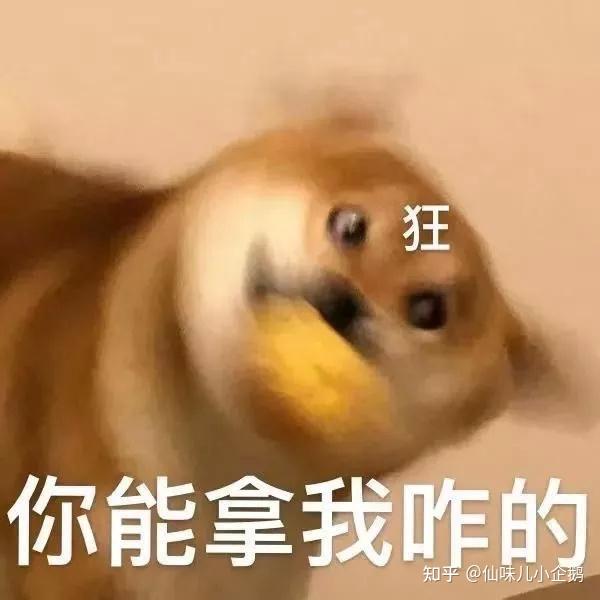 有没有适合情侣之间发的表情包