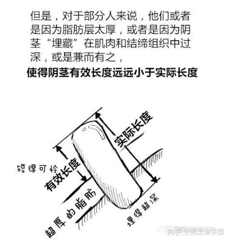 jelq挤奶法到底有没用阴茎到底能不能增大原理是什么