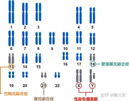 唐筛敏儿安染色体微缺失小儿猫叫综合征有哪些危害