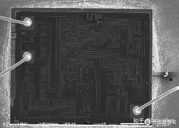 芯片里面长啥样扫描电子显微镜放大10000倍告诉你