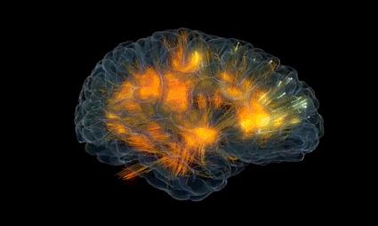 患者利用自主意识,在大脑产生运动想法,而脑电帽会检测到患者的"意念"