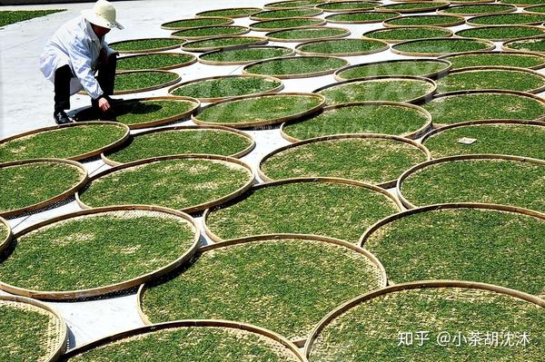"普洱茶"的解释:"以地理标志保护范围内的云南 大叶种晒青茶为原料,并