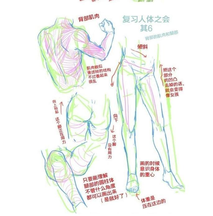 学漫画怎么练习人体动态肌肉结构