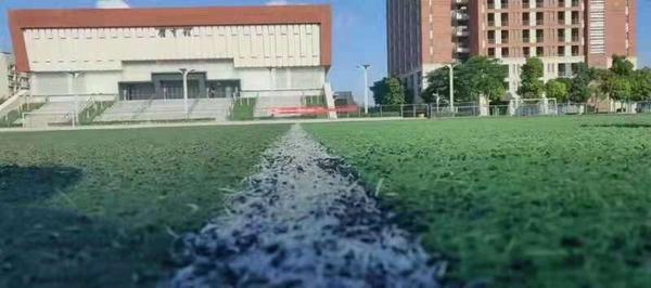 中山大学新华学院