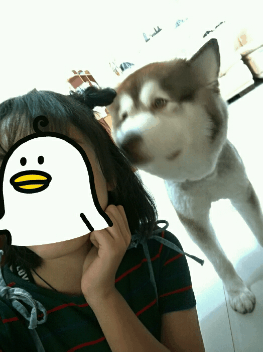 拥有一只高回头率的狗是种怎样的体验?