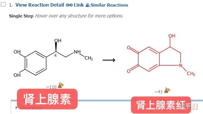 肾上腺素红是什么