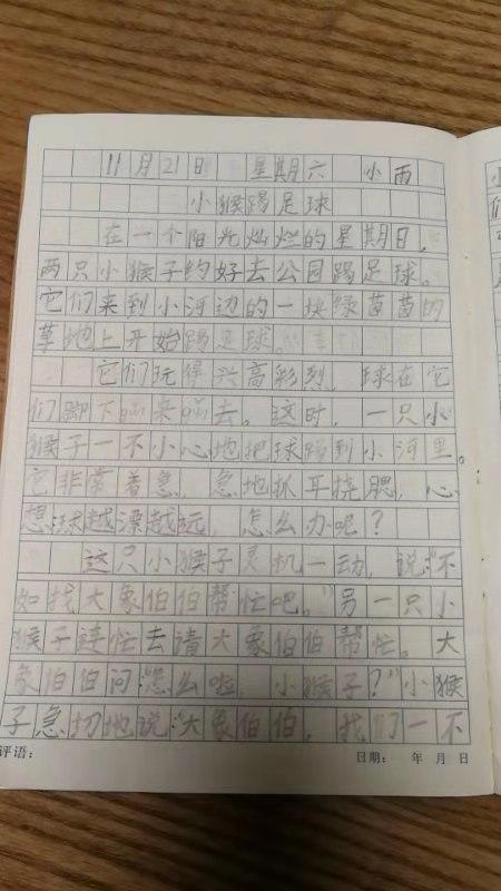 黎老师教小学作文二年级作文小猴踢足球