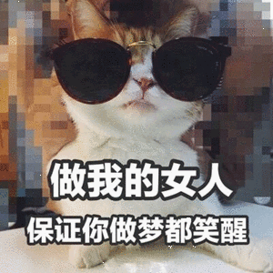 微信qq聊天撩人的套路和表情包(第一弹)