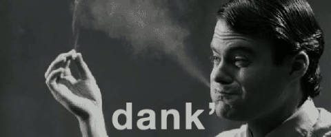 当白人孩子想赞美某些事物的时候,他们都会用dank 形容.