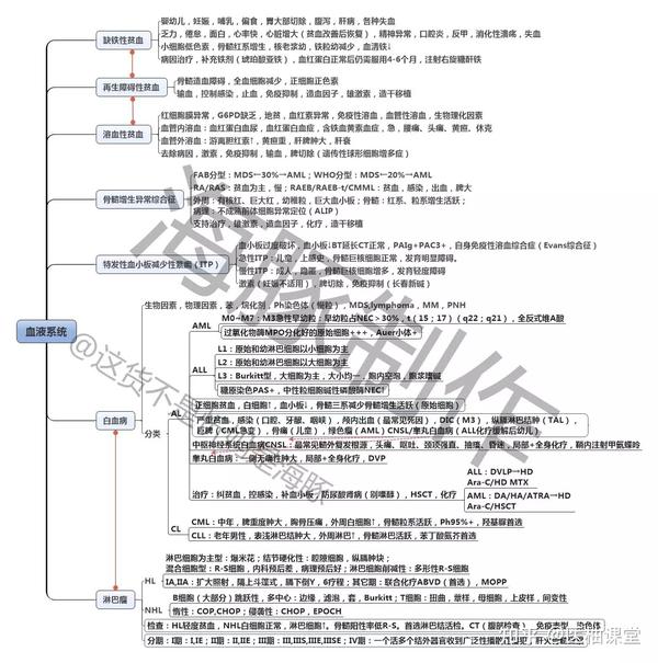 内科学 思维导图分享