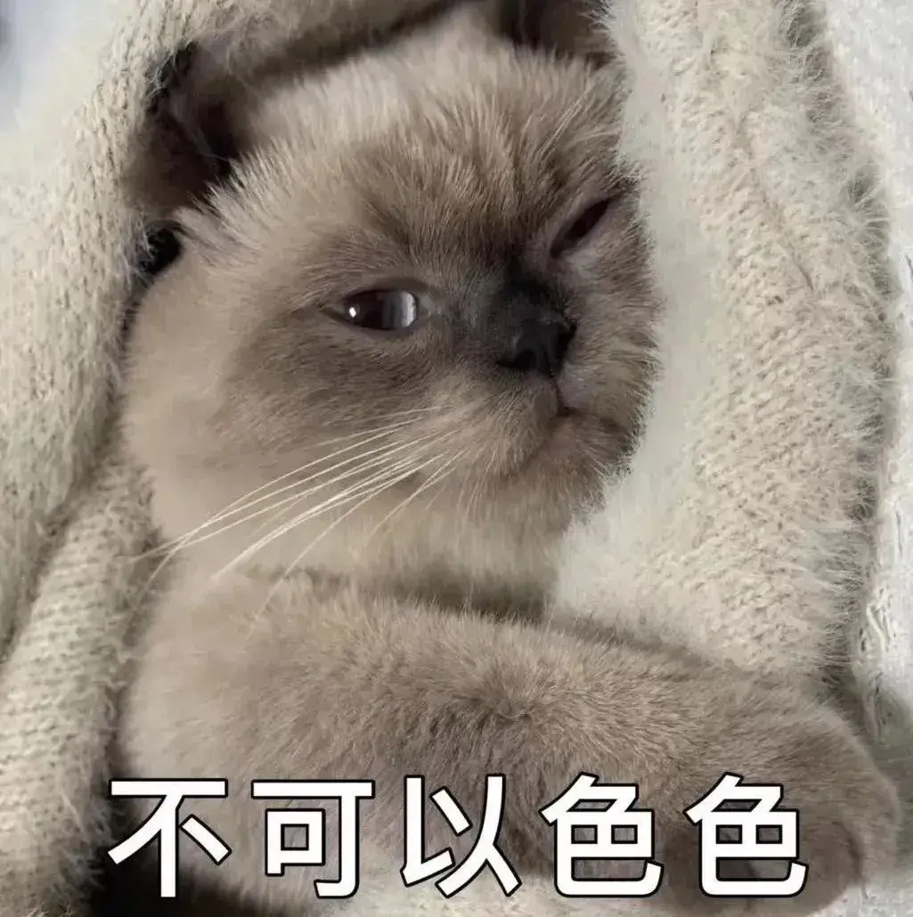 138张特别可爱猫猫的动态图或表情包