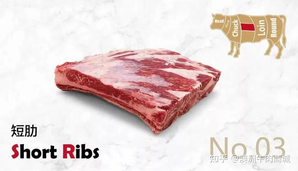 短肋肉(shortribs)