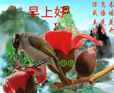 周二最新群发早上好问候表情动画图片,早安问候祝福语