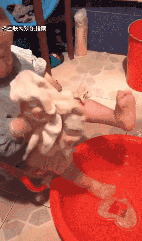 人类幼崽迷惑行为大赏