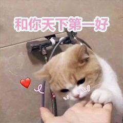 恋爱表情包进入恋爱模式和你天下第一好
