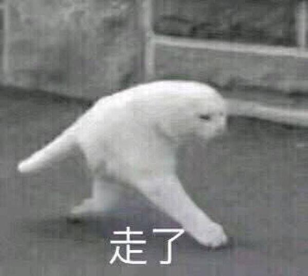 有哪些又可爱又骚气让人忍俊不禁的表情包吸吸?