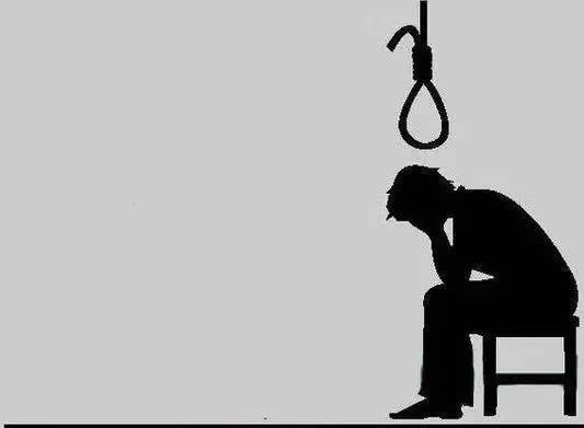 抑郁症的发病机制各论(去甲肾上腺素假说)