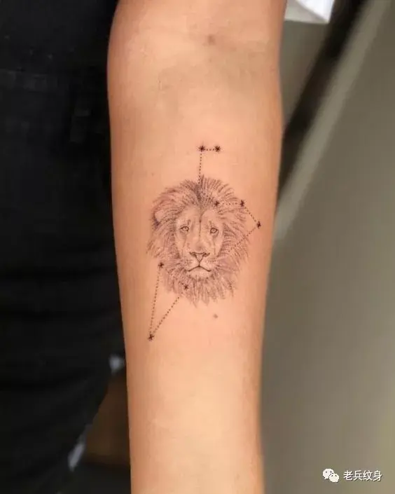 纹身素材——狮子座