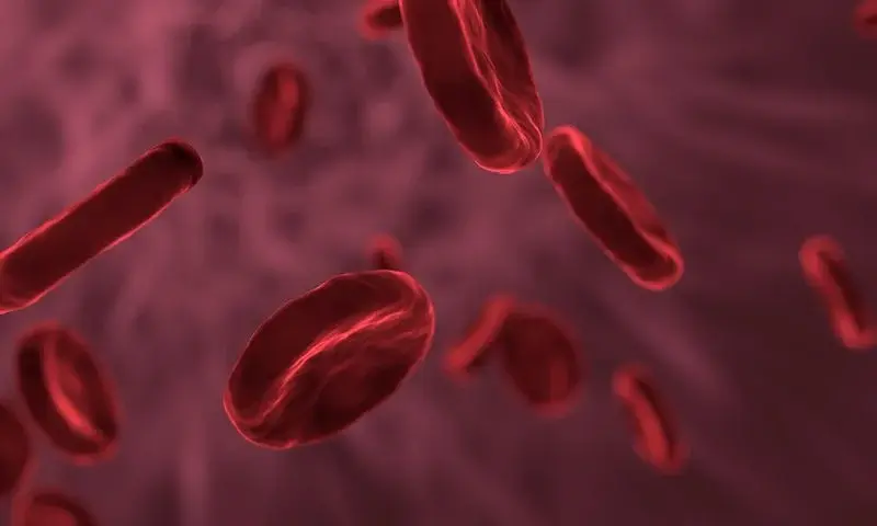 science宋远斌单梁等开发新型人红细胞生长发育及成熟的人源化小鼠
