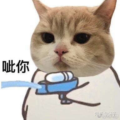 抖音猫咪喷水情侣头像