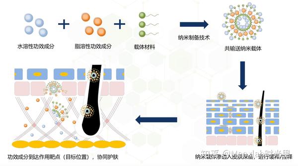 什么是纳米载体靶向传输技术?