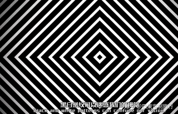 黑白是两个对比度最大的颜色,它们是视觉幻象种最常见的颜色,它们在一