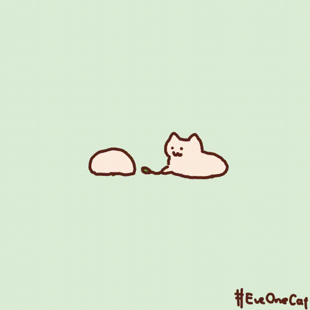 魔性猫猫everydayonecat表情包