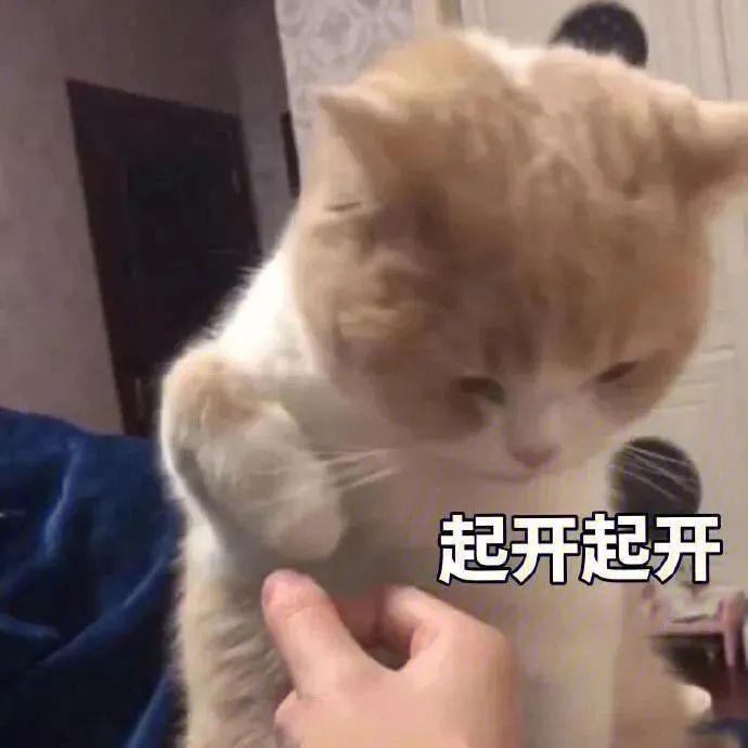喷饭搞笑可爱沙雕文案句子
