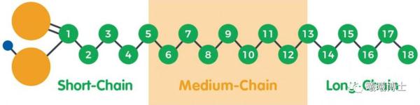 营养快报 | 短链 vs. 中链 vs. 长链脂肪酸, 哪个对母猪最管用?