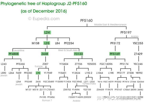 父系单倍群j2 - 知乎