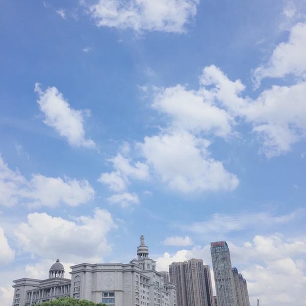 2017 年,你拍过哪些美好的照片?
