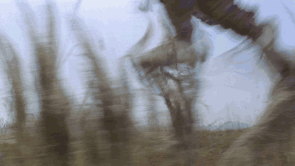 揭秘身轻如燕的