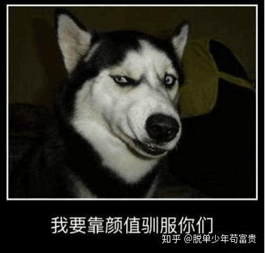 "你的笑像一条恶犬"被大学老师怒批狗屁不通,《盗将行
