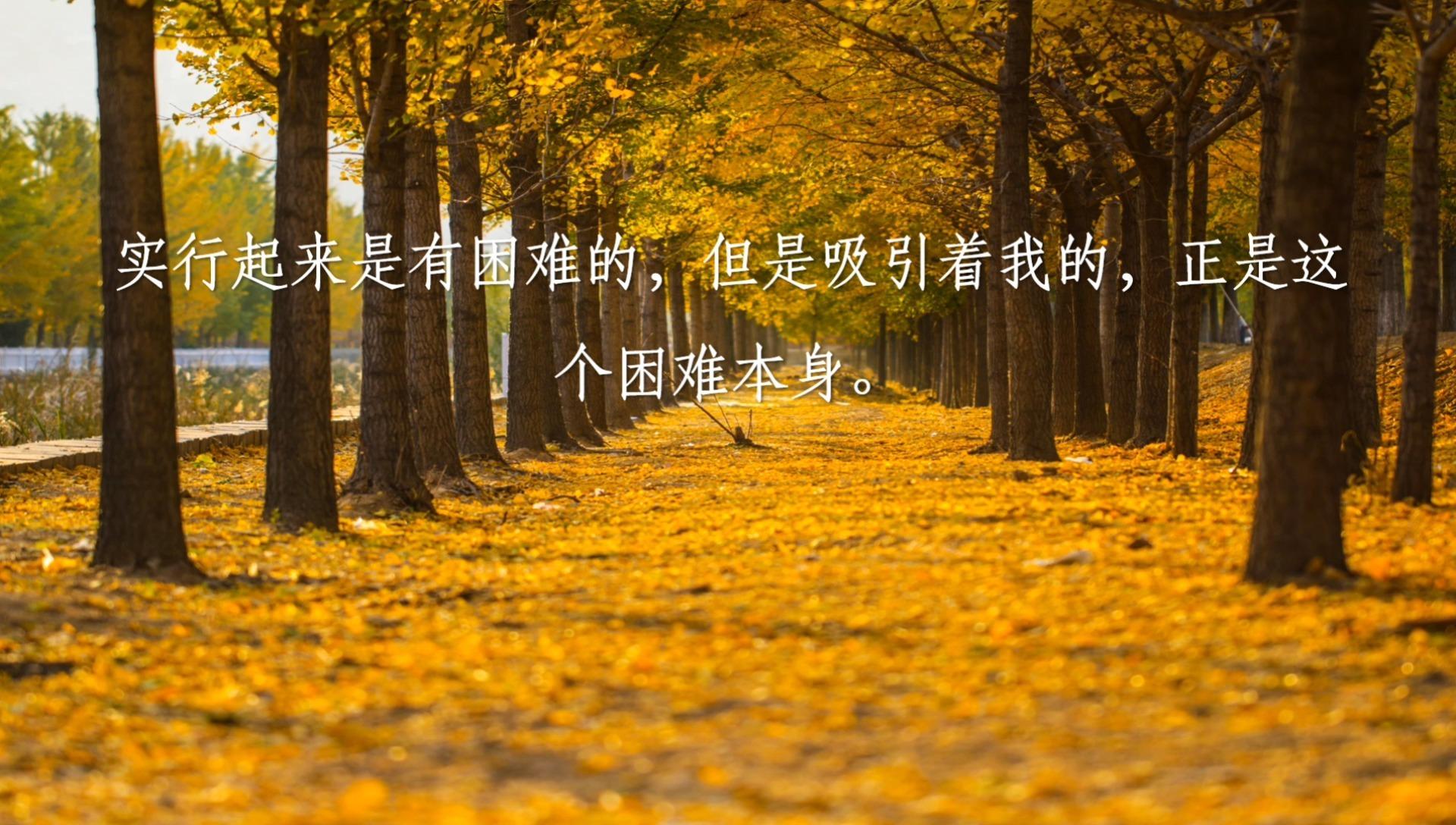 励志文字,让我们越挫越勇