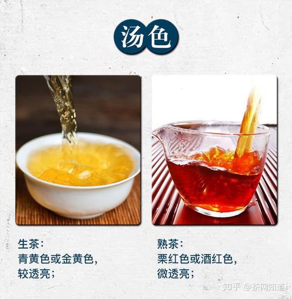 普洱茶生熟茶茶汤对比