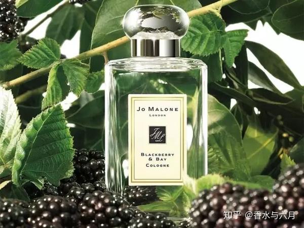 黑莓与月桂叶香水 blackberry & bay cologne