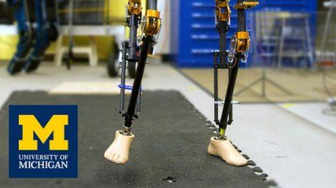 双足机器人快速控制原型rcp密歇根州立大学基于模型开发双足机器人