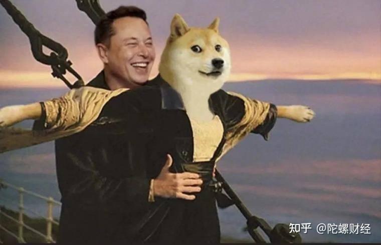 金融圈在被比特币啪啪打脸,而我们在被狗狗币啪啪打脸