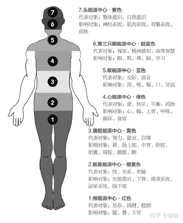 让你更加了解你的身体的人体图形形象化